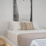 Apartmán Lea Mykonos Merchia Beach